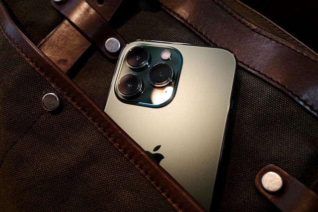 Muleposer med stil: Bæredygtighed på mode